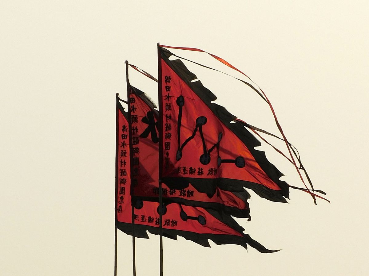 Feather Flags – image 2