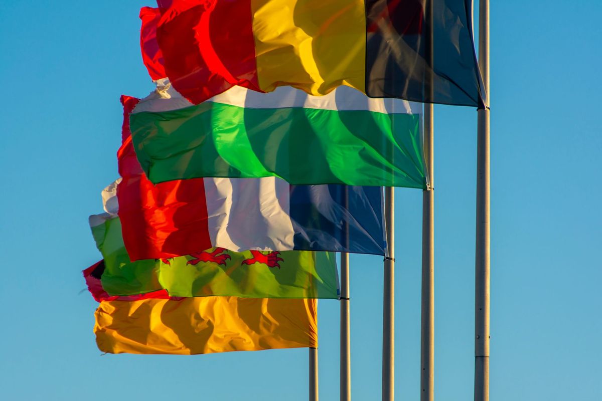 Feather Flags – image 3
